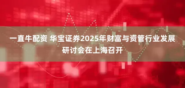 一直牛配资 华宝证券2025年财富与资管行业发展研讨会在上海召开