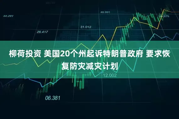 柳荷投资 美国20个州起诉特朗普政府 要求恢复防灾减灾计划