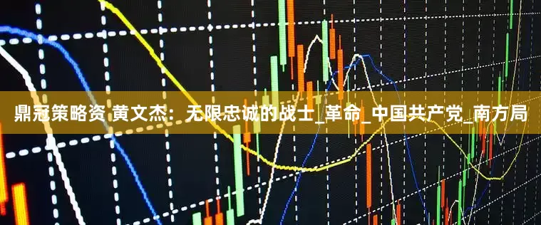 鼎冠策略资 黄文杰：无限忠诚的战士_革命_中国共产党_南方局