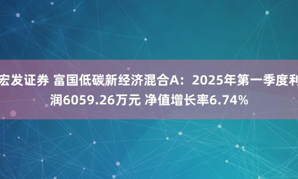 宏发证券 富国低碳新经济混合A：2025年第一季度利润6059.26万元 净值增长率6.74%